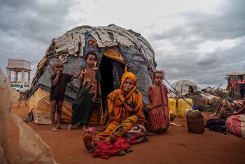 Battlefields to wastelands: UN warns conflicts are destroying ecosystems worldwide