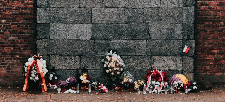 ‘We must stand up for our shared humanity – each and every day’: UN human rights chief