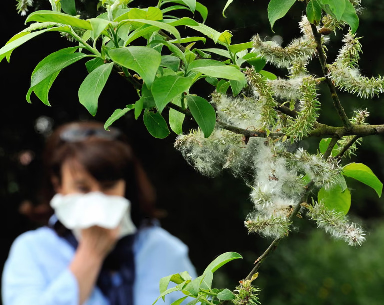 The climate crisis is making our hay fever worse – and affecting our enjoyment of nature