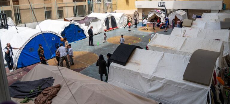 Lebanon war leaves families foraging for food despite ceasefire