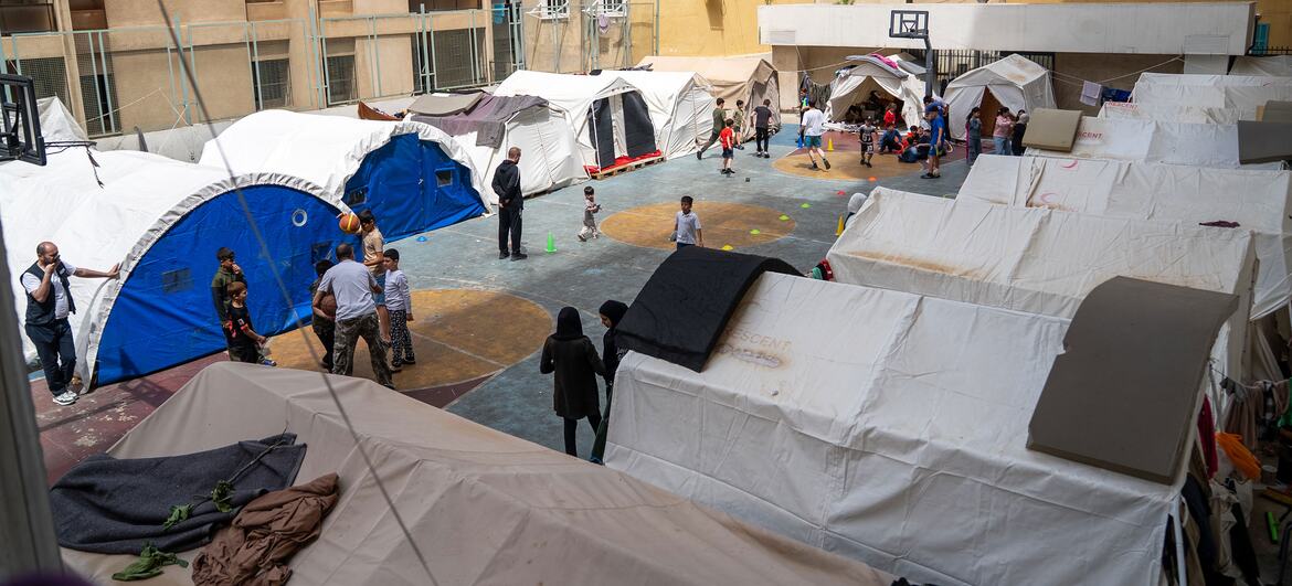 Lebanon war leaves families foraging for food despite ceasefire