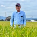 As Japan swelters, farmers turn to new heat-resistant rice varieties to boost staple crop