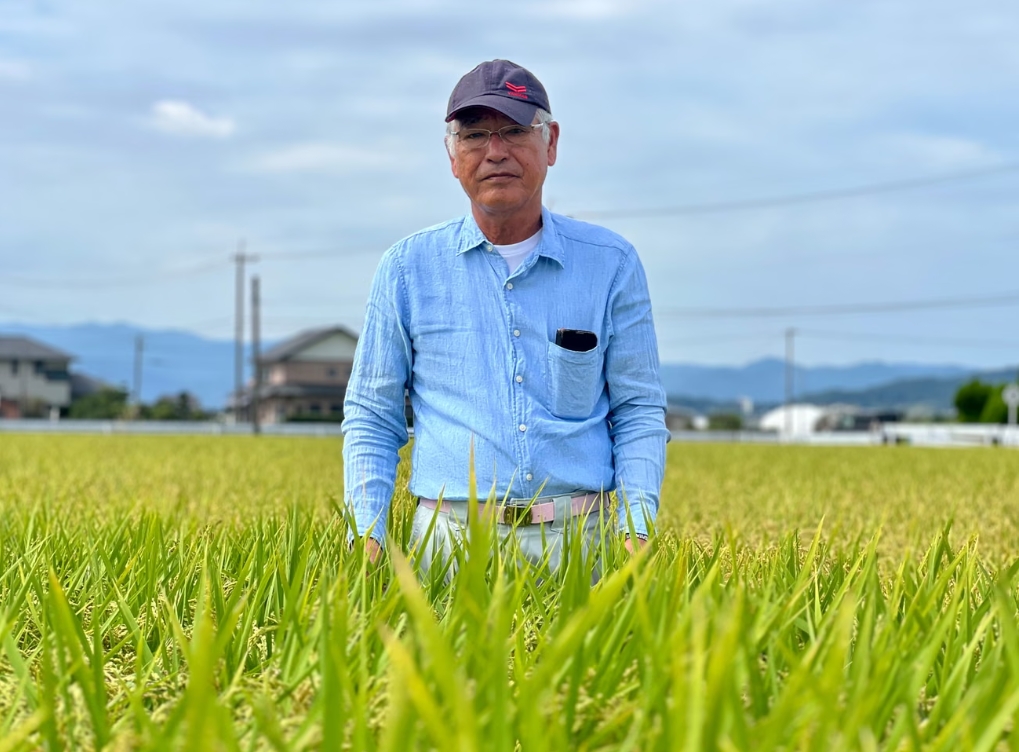 As Japan swelters, farmers turn to new heat-resistant rice varieties to boost staple crop