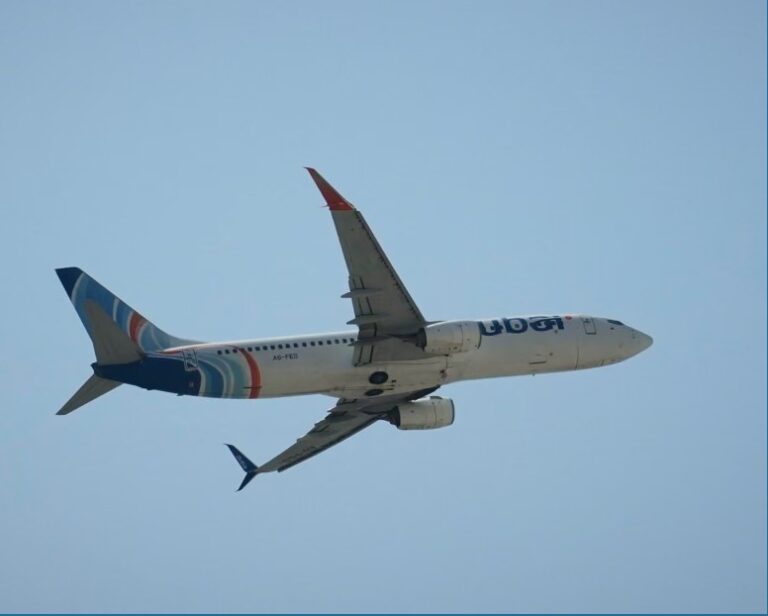 Pilot on Israel-bound plane stabbed co-pilot and tried to crash aircraft, passenger says